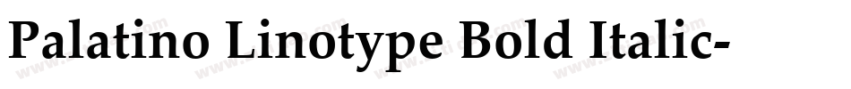 Palatino Linotype Bold Italic字体转换